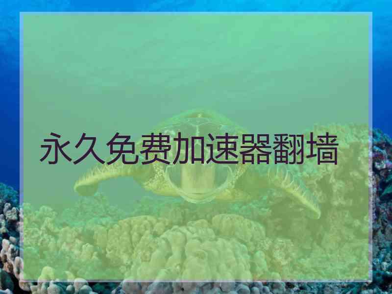 永久免费加速器翻墙