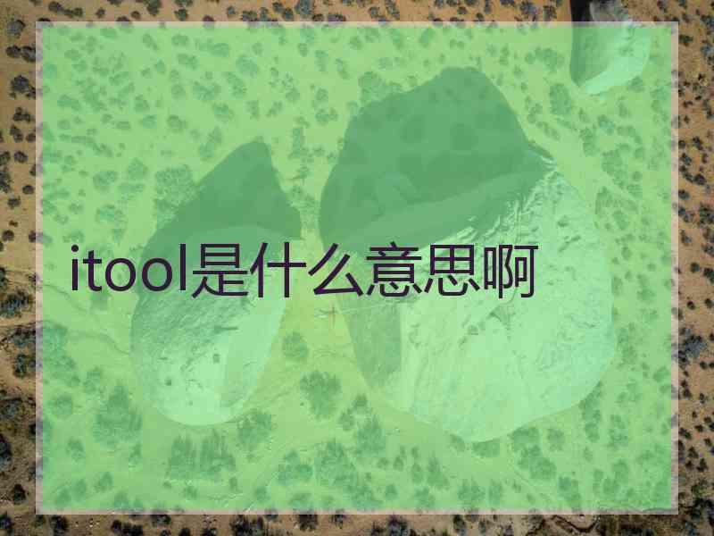 itool是什么意思啊