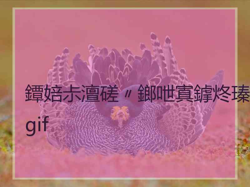 鐔婄尗澶磋〃鎯呭寘鎼炵瑧gif