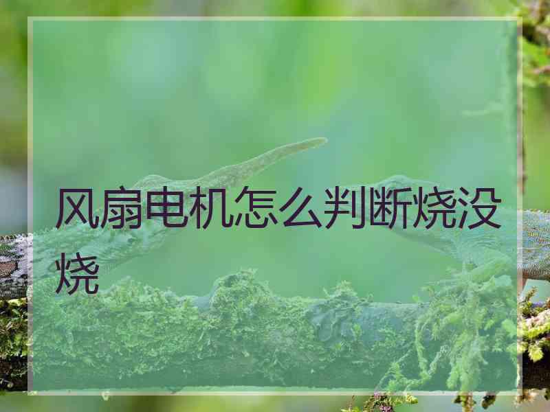 风扇电机怎么判断烧没烧