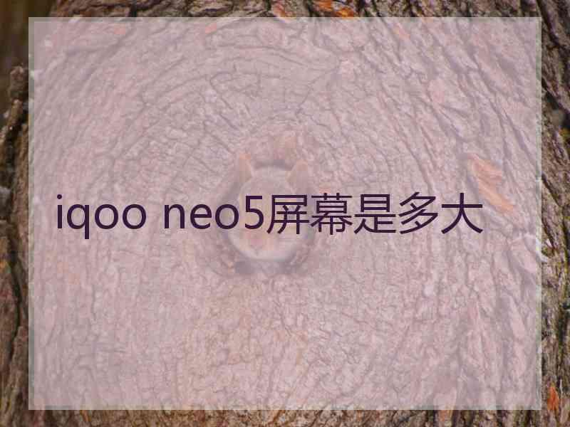 iqoo neo5屏幕是多大