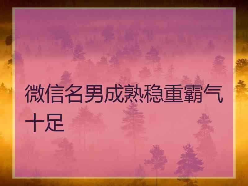 微信名男成熟稳重霸气十足