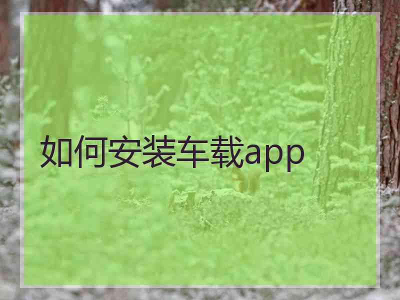 如何安装车载app