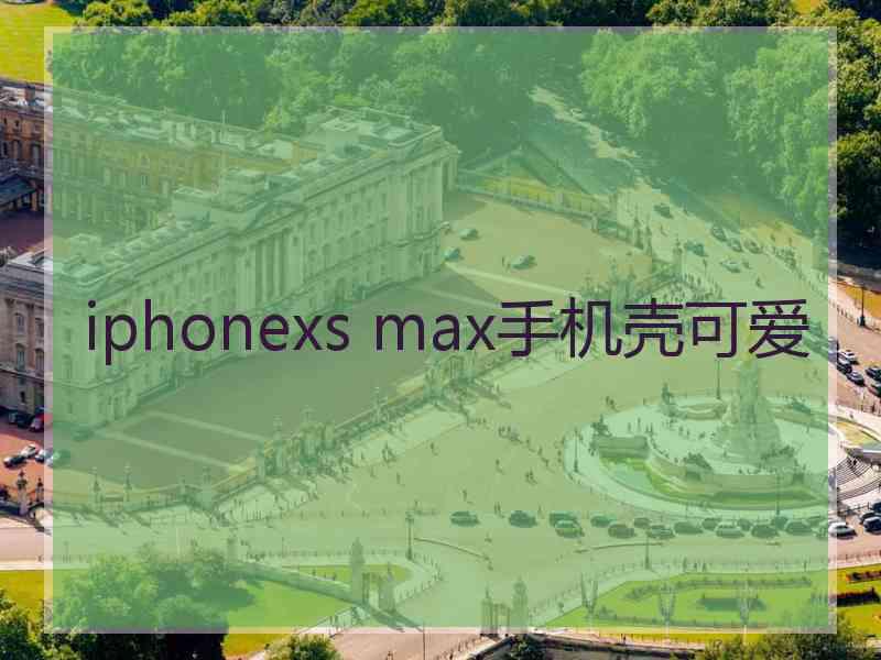 iphonexs max手机壳可爱