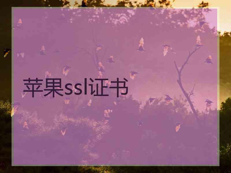 苹果ssl证书