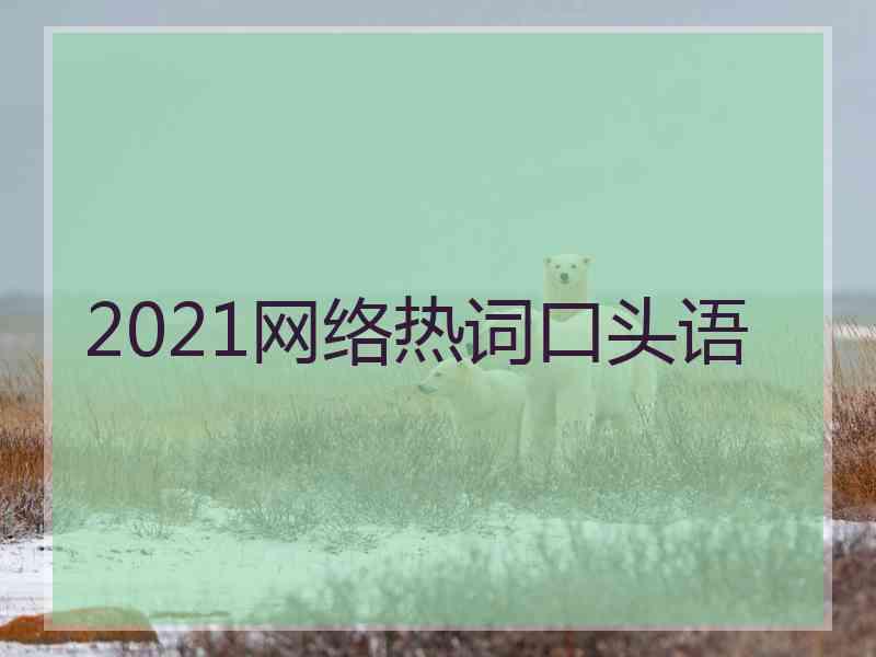 2021网络热词口头语