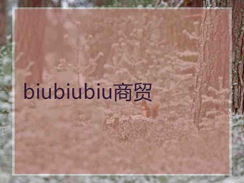 biubiubiu商贸