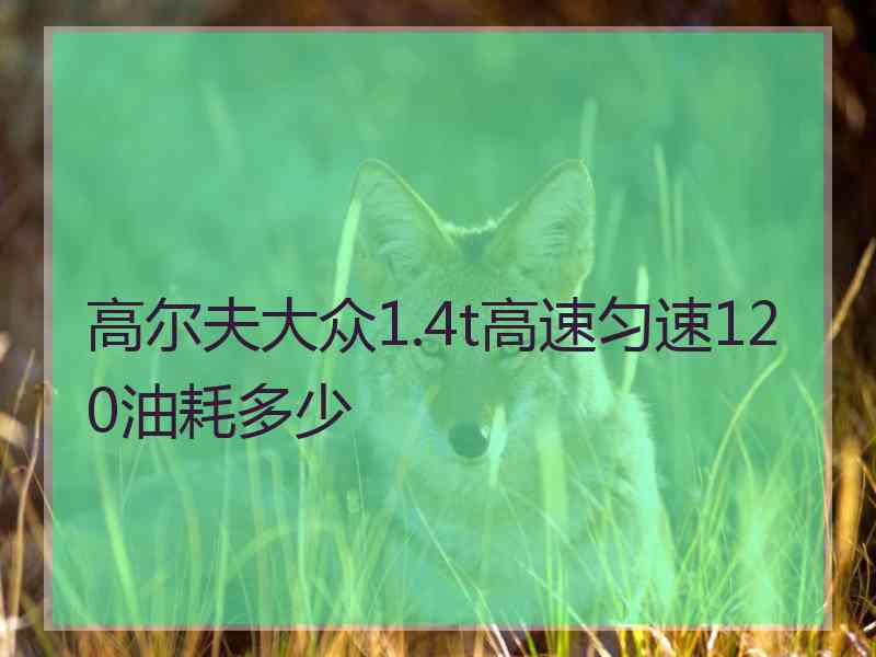 高尔夫大众1.4t高速匀速120油耗多少