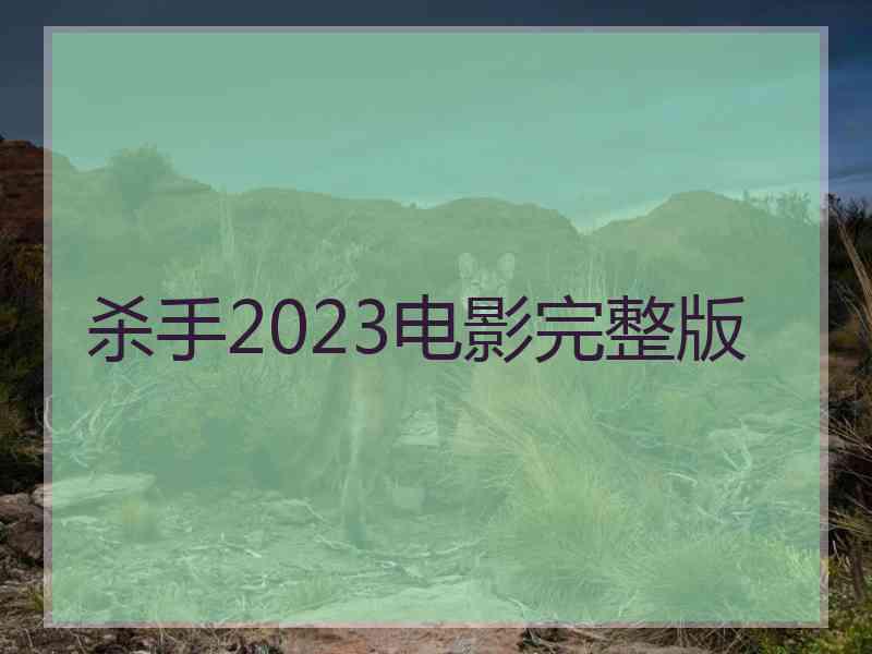 杀手2023电影完整版