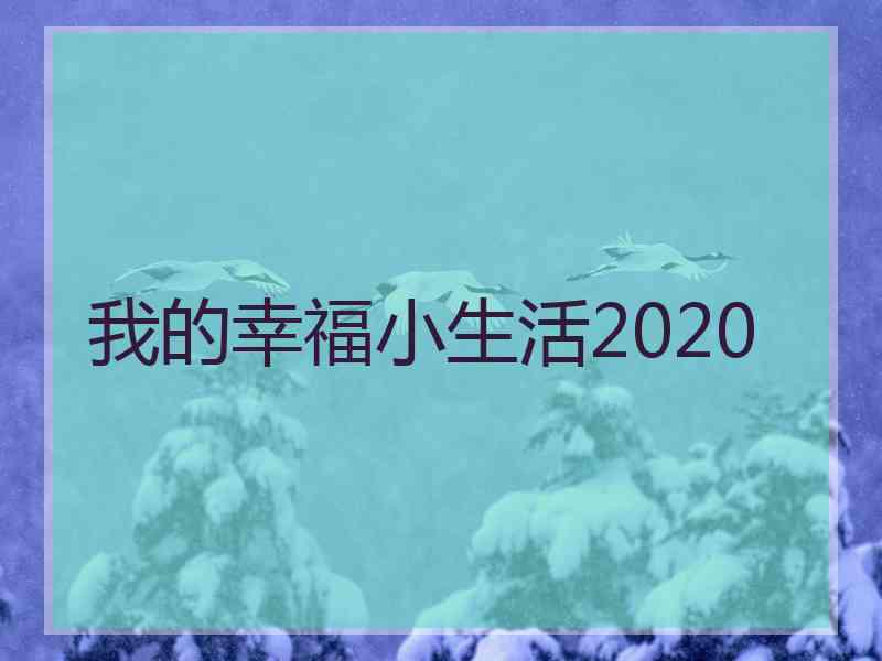 我的幸福小生活2020