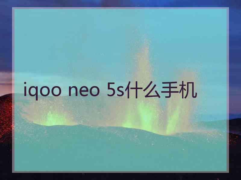 iqoo neo 5s什么手机