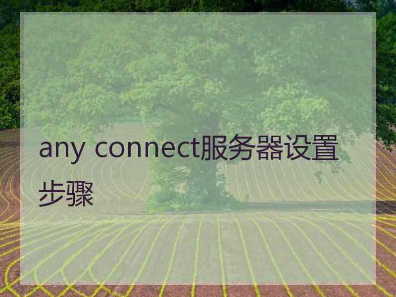 any connect服务器设置步骤