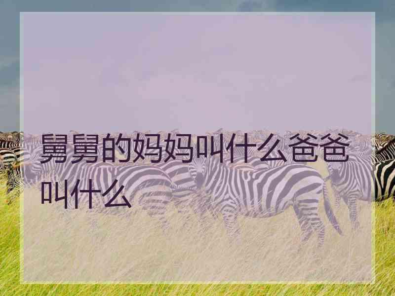 舅舅的妈妈叫什么爸爸叫什么