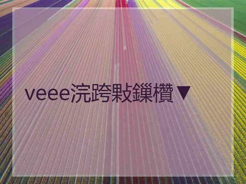 veee浣跨敤鏁欑▼