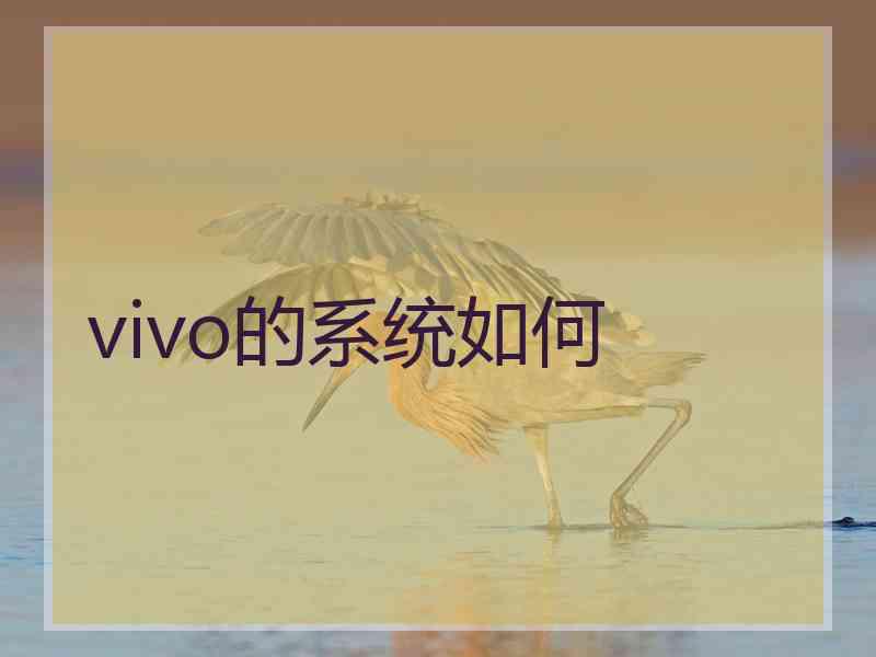 vivo的系统如何