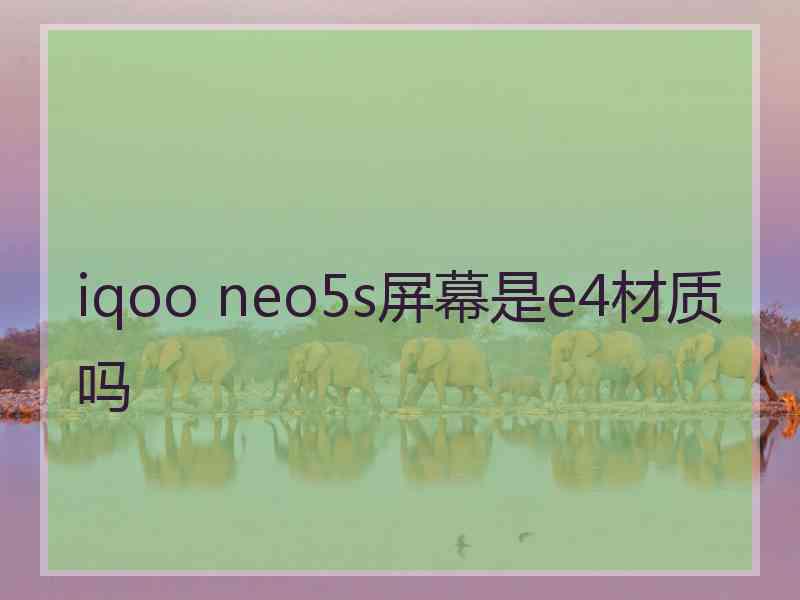 iqoo neo5s屏幕是e4材质吗