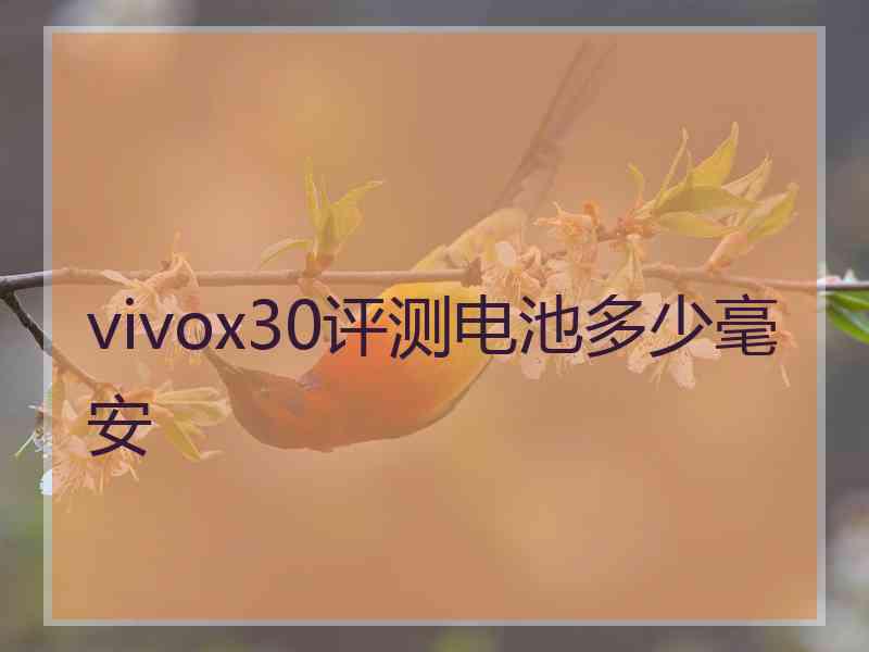 vivox30评测电池多少毫安