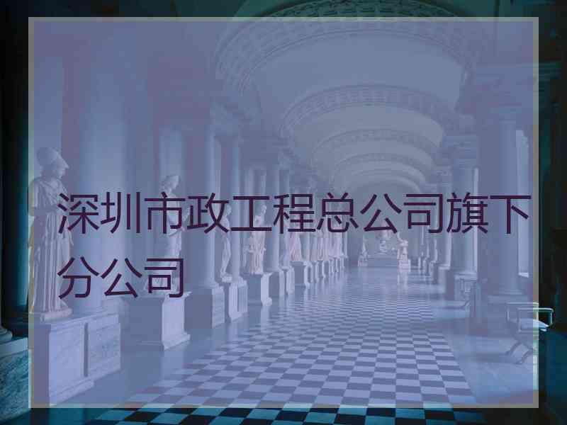 深圳市政工程总公司旗下分公司