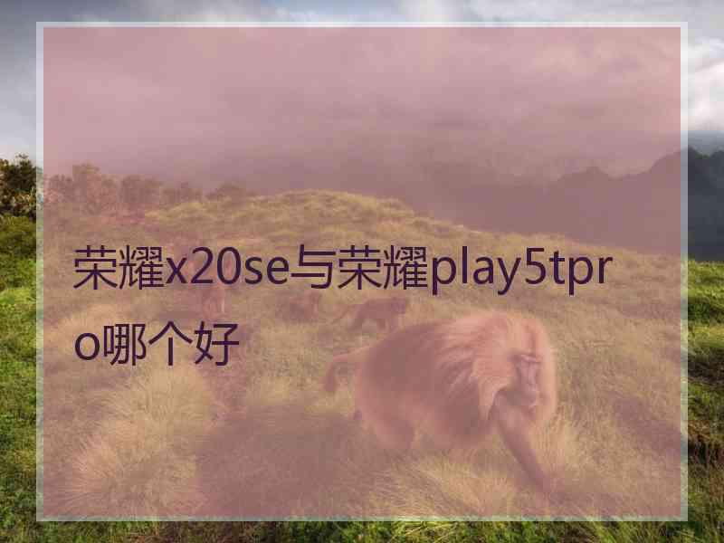 荣耀x20se与荣耀play5tpro哪个好