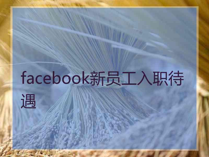 facebook新员工入职待遇