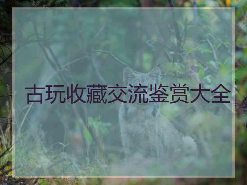 古玩收藏交流鉴赏大全