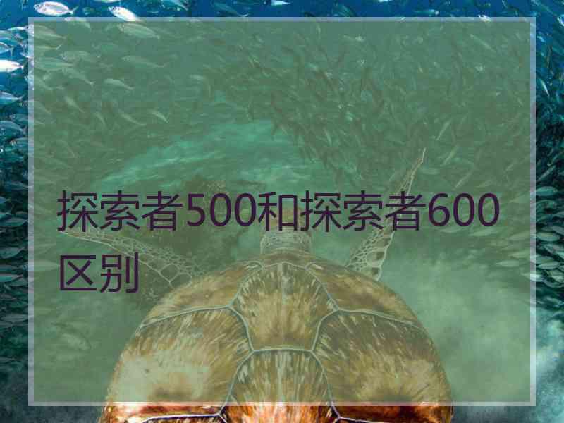 探索者500和探索者600区别