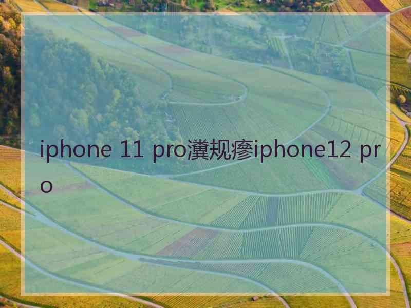 iphone 11 pro瀵规瘮iphone12 pro