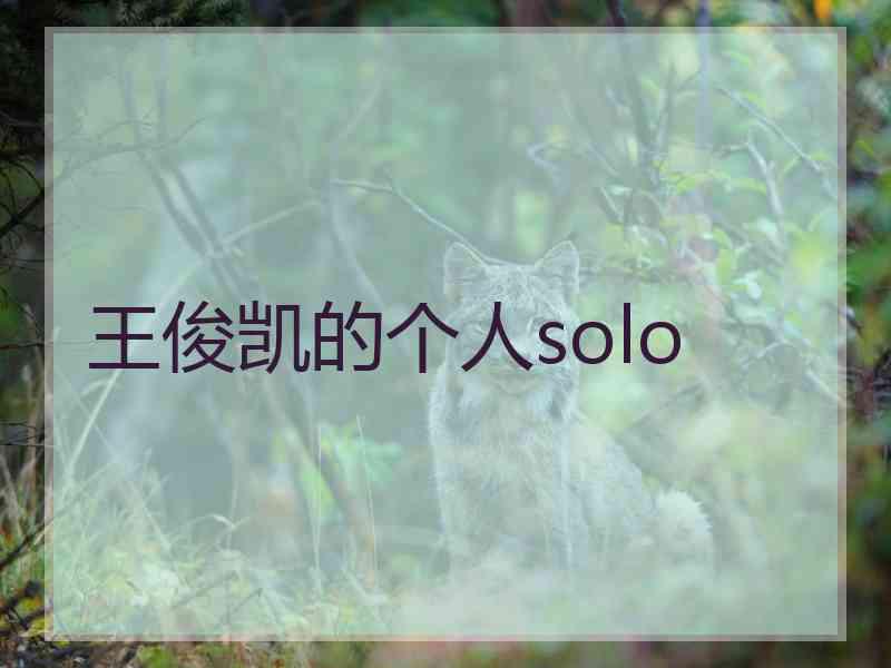 王俊凯的个人solo