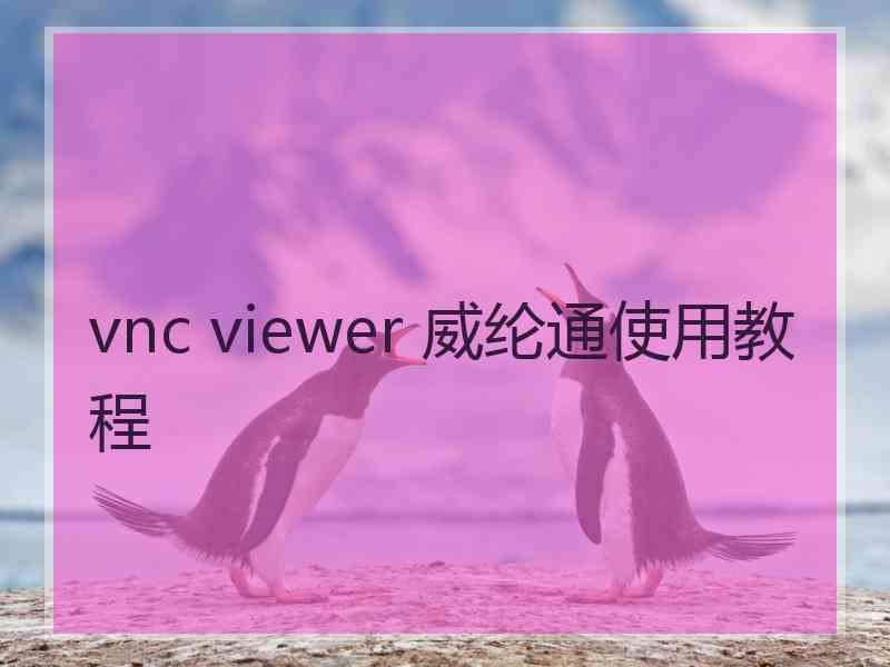 vnc viewer 威纶通使用教程
