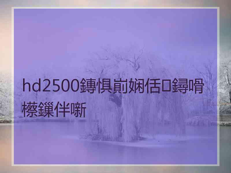 hd2500鏄惧崱娴佸鐞嗗櫒鏁伴噺