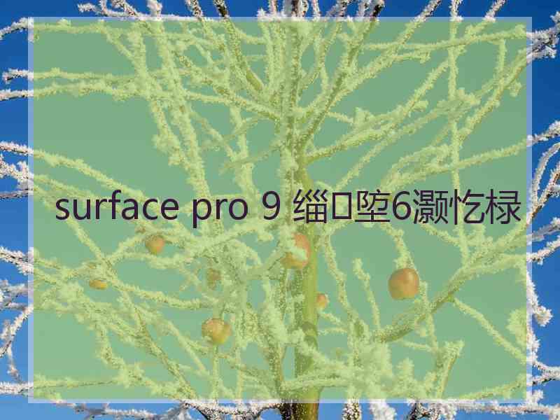 surface pro 9 缁埅6灏忔椂