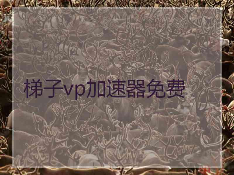 梯子vp加速器免费