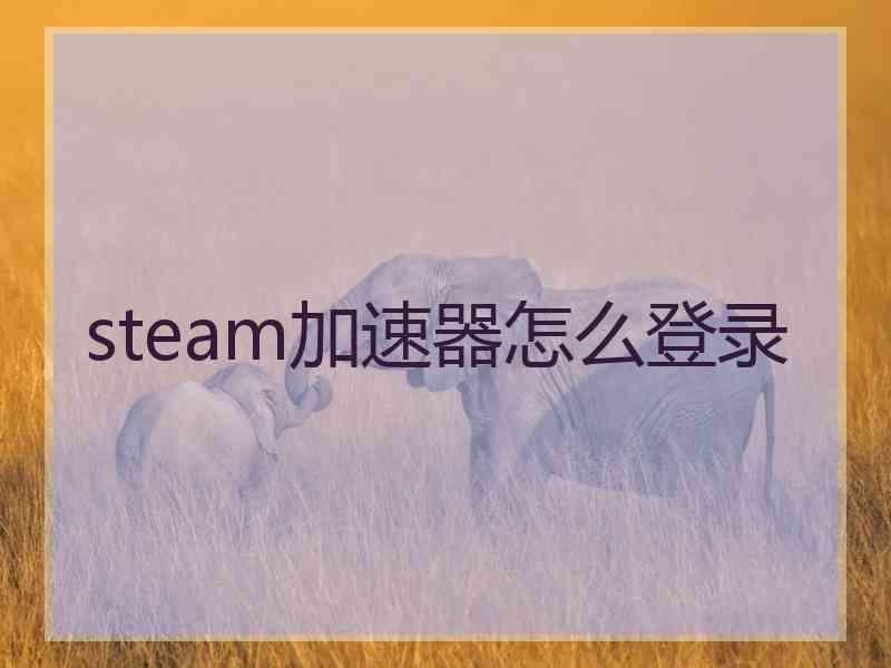 steam加速器怎么登录