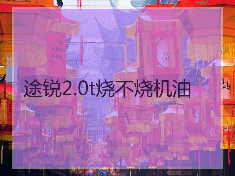 途锐2.0t烧不烧机油