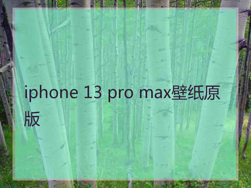 iphone 13 pro max壁纸原版