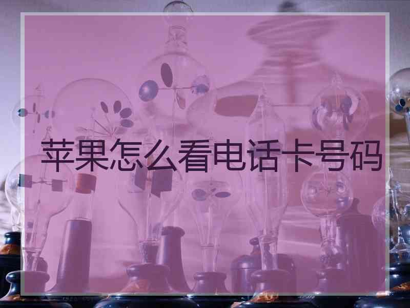 苹果怎么看电话卡号码