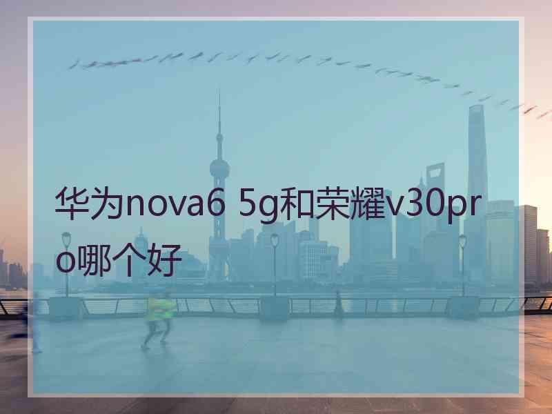 华为nova6 5g和荣耀v30pro哪个好