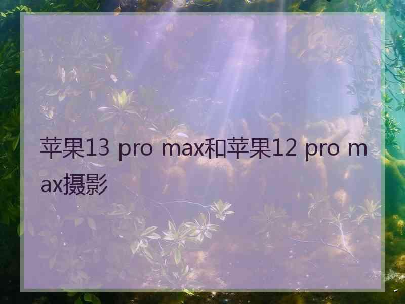 苹果13 pro max和苹果12 pro max摄影