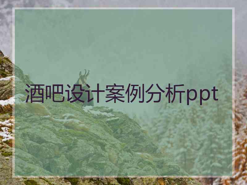 酒吧设计案例分析ppt