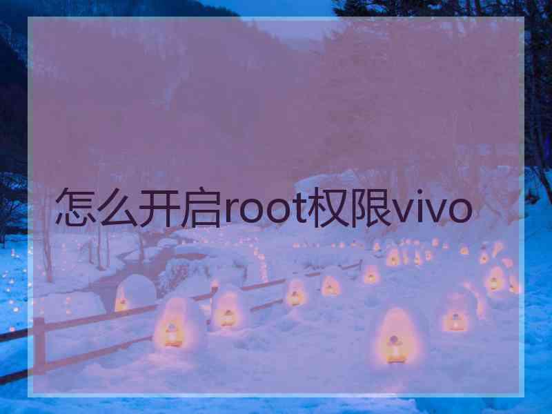 怎么开启root权限vivo