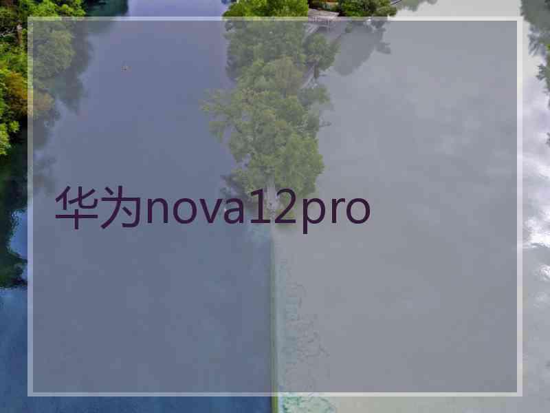 华为nova12pro