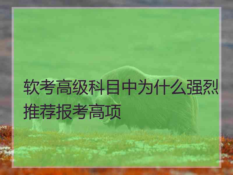 软考高级科目中为什么强烈推荐报考高项