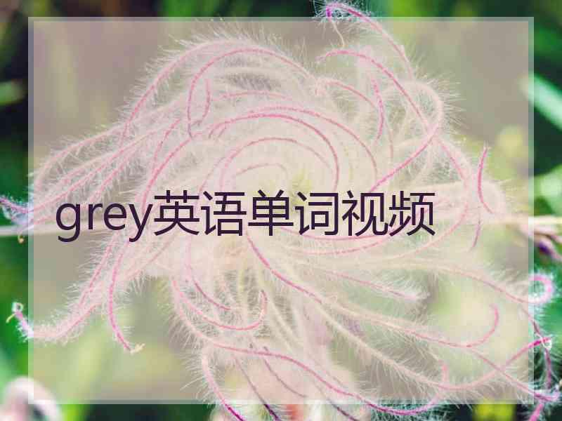 grey英语单词视频