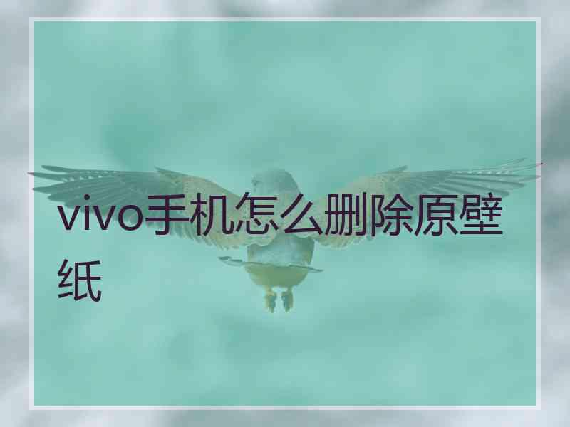 vivo手机怎么删除原壁纸