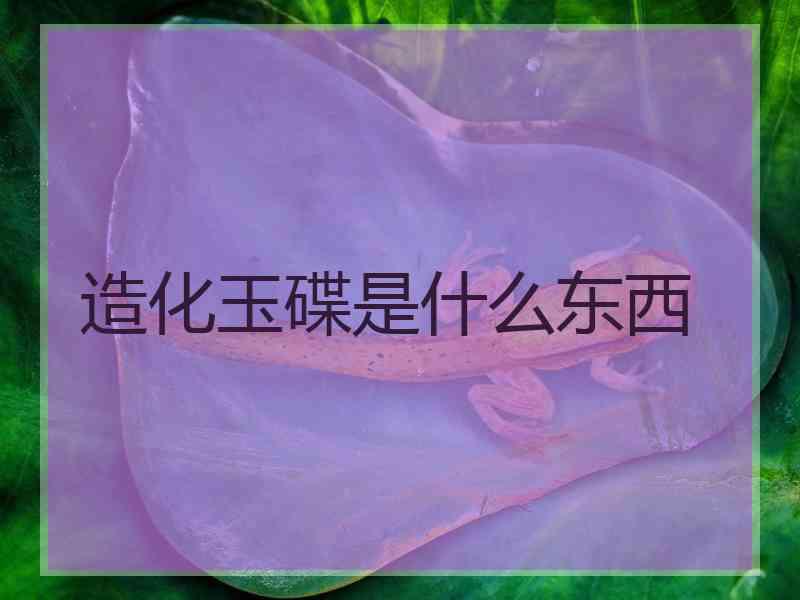 造化玉碟是什么东西