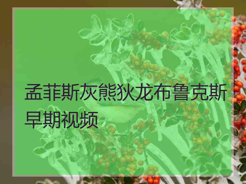 孟菲斯灰熊狄龙布鲁克斯早期视频