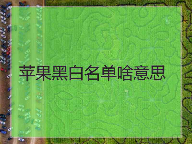 苹果黑白名单啥意思