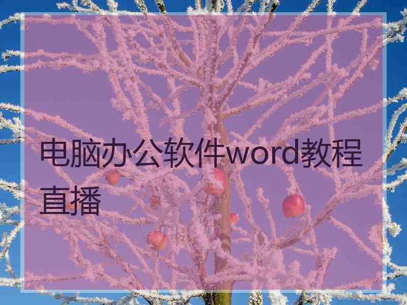 电脑办公软件word教程直播