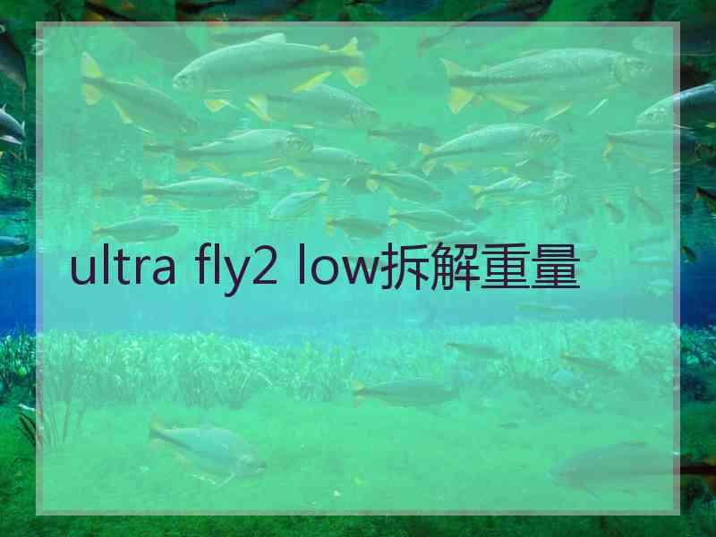 ultra fly2 low拆解重量