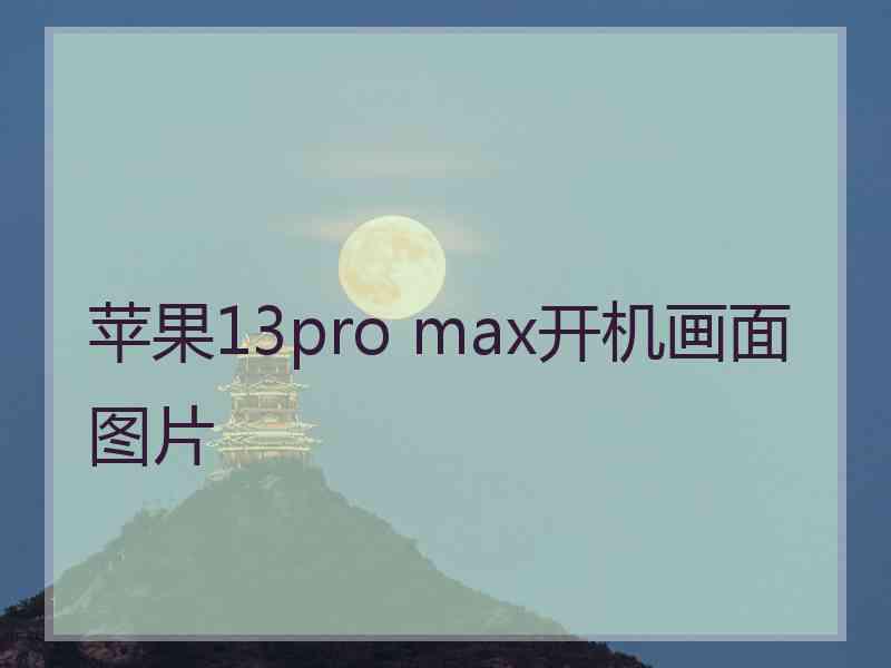 苹果13pro max开机画面图片